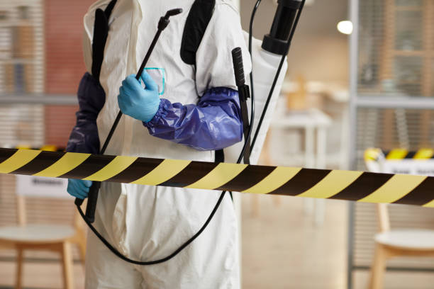 Professional Sewage Cleanup technician working in Waverly, IL