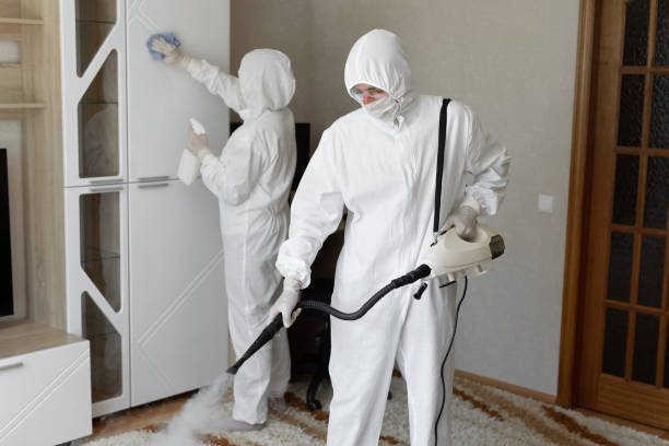24/7 Emergency Sewage Cleanup experts in Waverly, IL